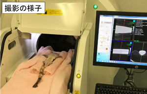 撮影の様子