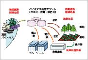海産バイオマスによる環境再生