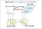 共感覚に関する認(rèn)知科學(xué)的研究