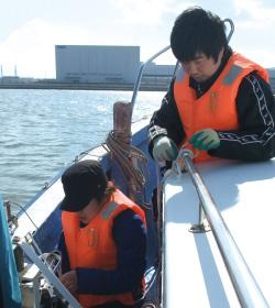実海域における海洋調査