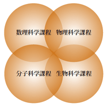 自然科學類の課程