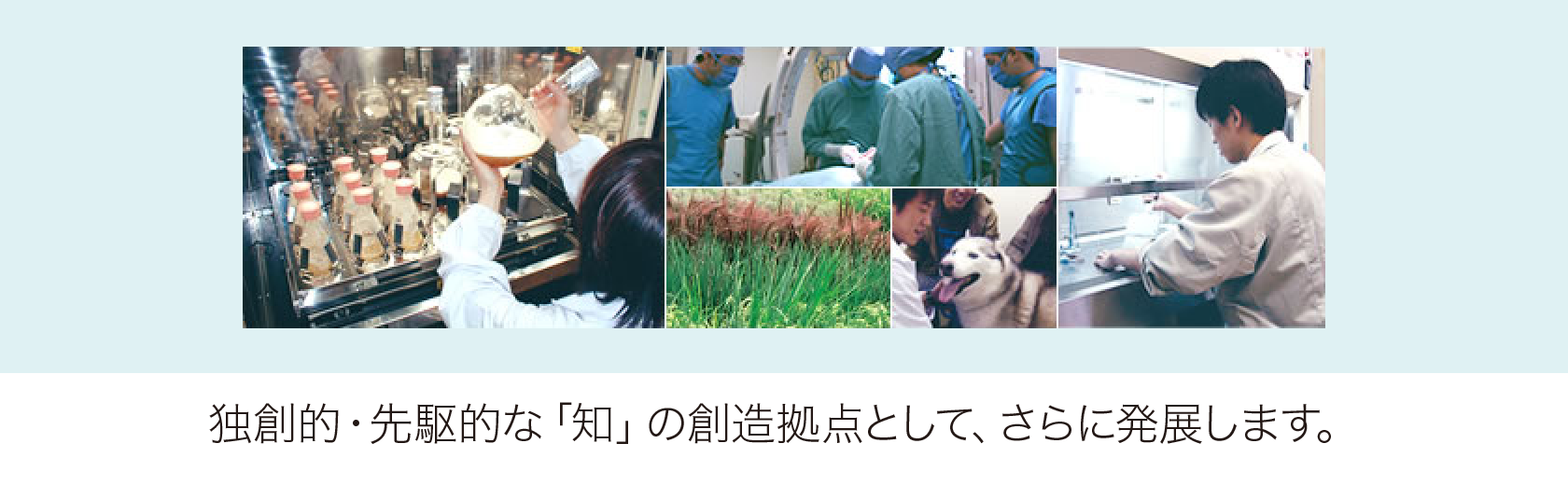 獨(dú)創(chuàng)的?先駆的な「知」の創(chuàng)造拠點(diǎn)として、さらに発展します。