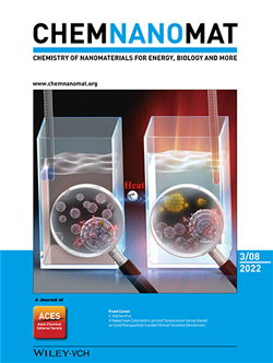 「ChemNanoMat」誌の表紙