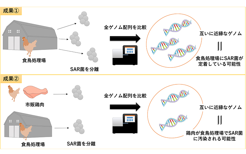 図の畫像