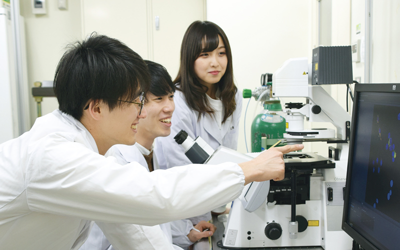 research image